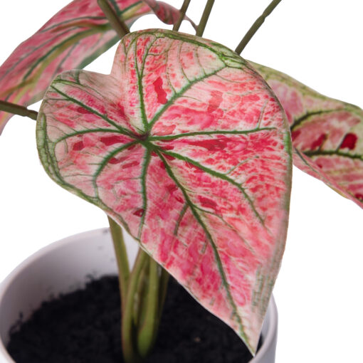 Real Touch Potted Syngonium (H29cm) - Image 2