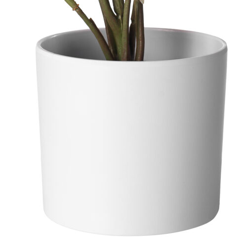Real Touch Potted Syngonium (H29cm) - Image 5
