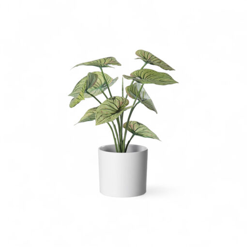 Real Touch Potted Caladium (H29cm)