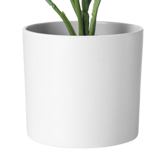 Real Touch Potted Caladium (H29cm) - Image 5