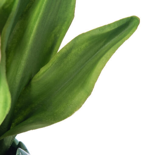Potted Tulip (H22cm) - Image 4