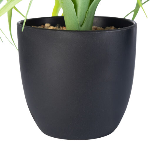 Spider Potted Plant (H28cm) - Image 5
