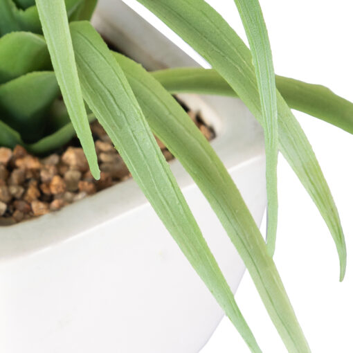 Spider Potted Plant (H21cm) - Image 3