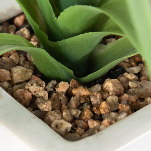 Spider Potted Plant (H21cm) - Image 5
