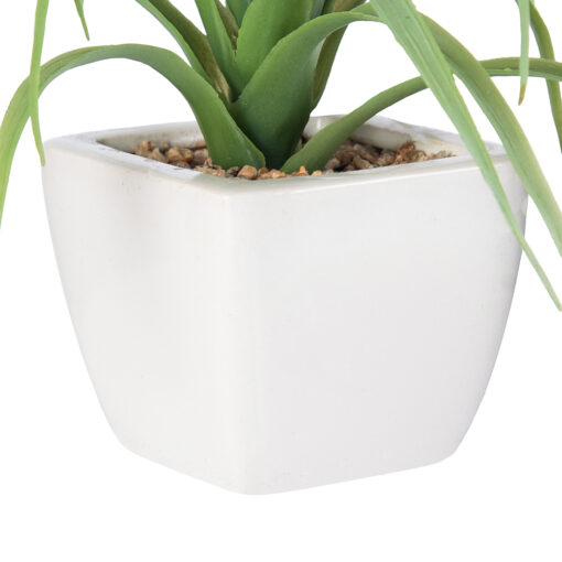 Spider Potted Plant (H21cm) - Image 6