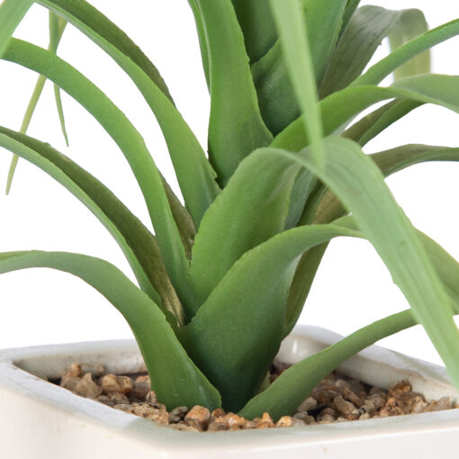 Spider Potted Plant (H21cm) - Image 4