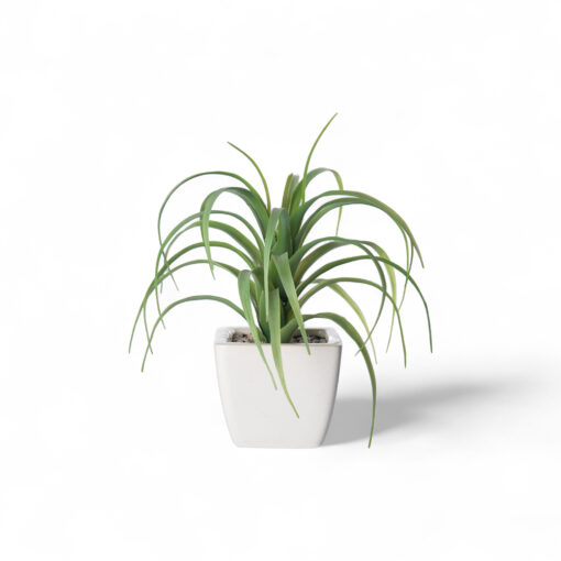 Spider Potted Plant (H21cm) - Image 2