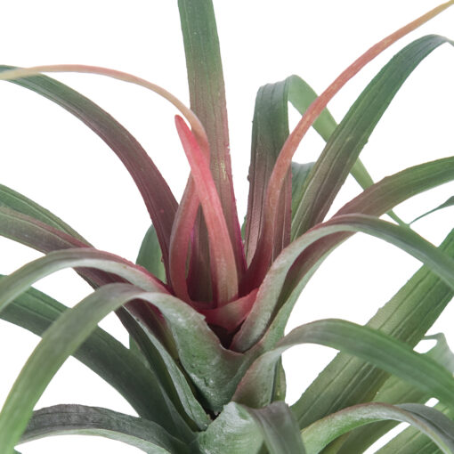 Spider Potted Plant (H21cm) - Image 3