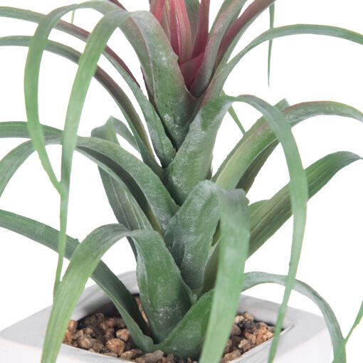 Spider Potted Plant (H21cm) - Image 4