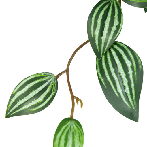 Potted Photos Plant (H16cm) - Image 3