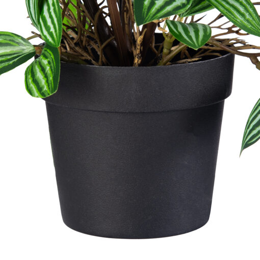 Potted Photos Plant (H16cm) - Image 5
