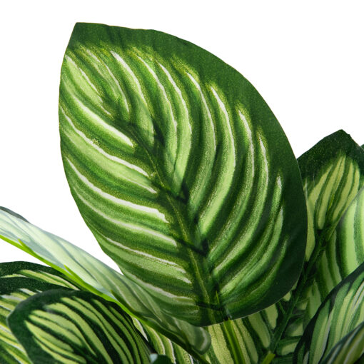 Potted Evergreen Plant (H28cm) - Image 2