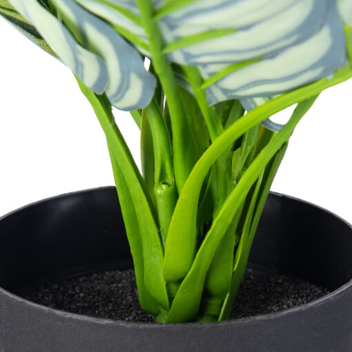 Potted Evergreen Plant (H28cm) - Image 4