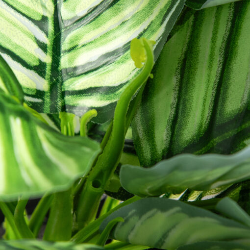Potted Evergreen Plant (H28cm) - Image 5
