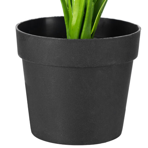 Potted Evergreen Plant (H28cm) - Image 7