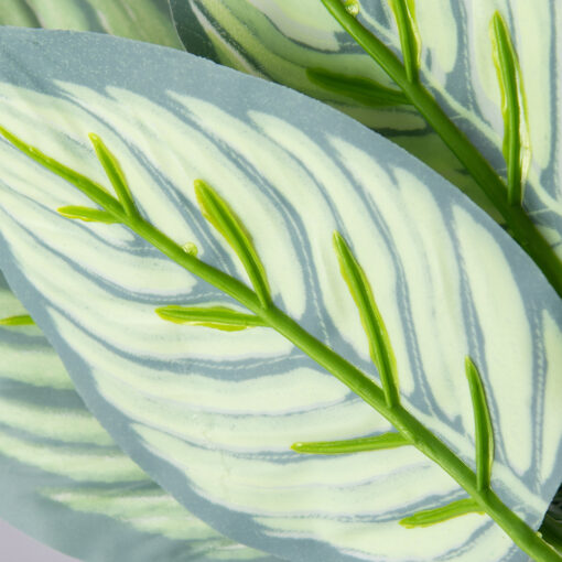 Potted Evergreen Plant (H28cm) - Image 3