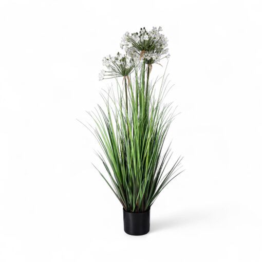Allium Potted Plant (H109cm)