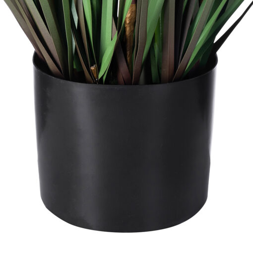Allium Potted Plant (H109cm) - Image 6