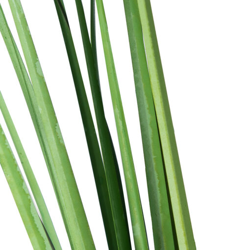 Allium Potted Plant (H109cm) - Image 5