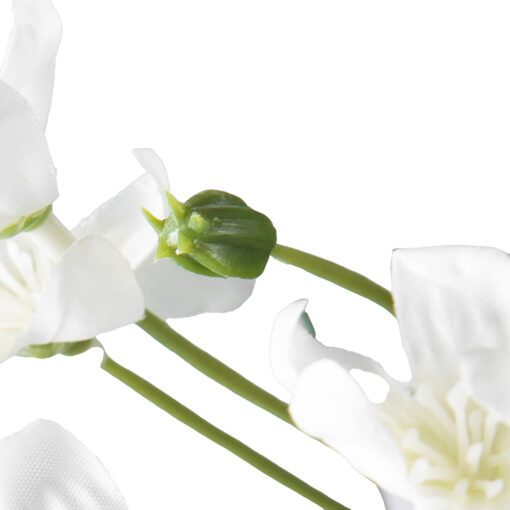Allium Potted Plant (H109cm) - Image 3