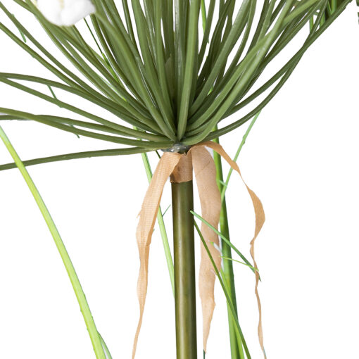 Allium Potted Plant (H109cm) - Image 4