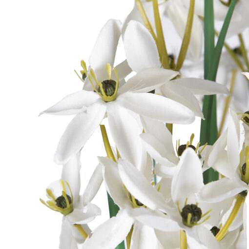 Jasmine Flower Potted Plant (H90cm) - Image 2