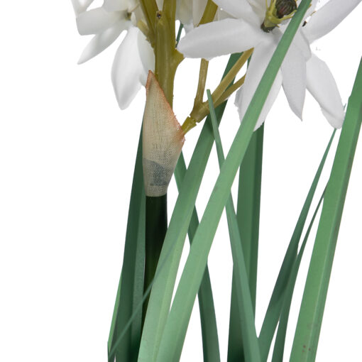 Jasmine Flower Potted Plant (H90cm) - Image 4