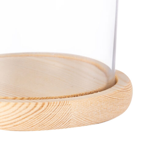Dome Decor Glassware (H19cm) - Image 4