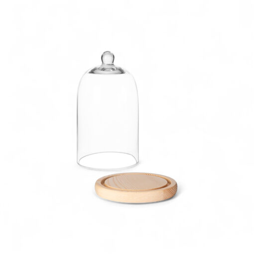 Dome Decor Glassware (H19cm) - Image 2