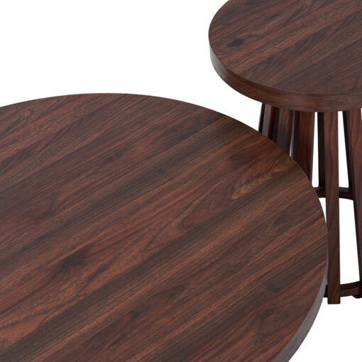 Hanni Nesting Coffee Table - Image 9