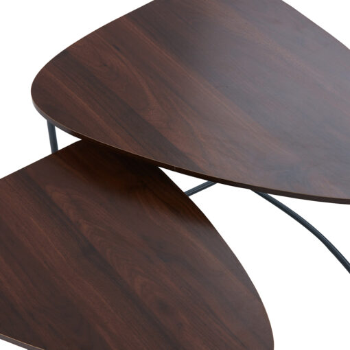 Vena Nesting Coffee Table - Image 5