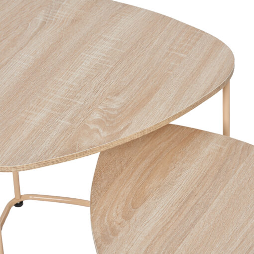 Lesa Nesting Coffee Table - Image 5
