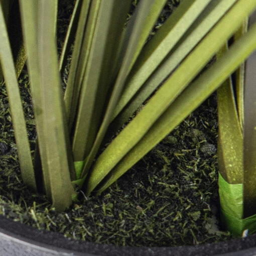 Potted Lavender (H46cm) - Image 4