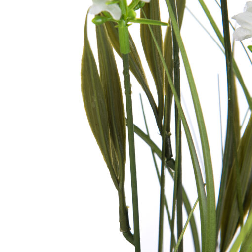 Potted Lavender (H46cm) - Image 3