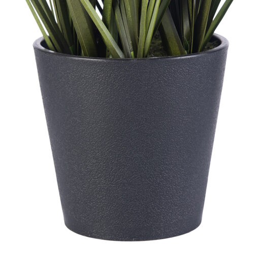 Potted Lavender (H46cm) - Image 5