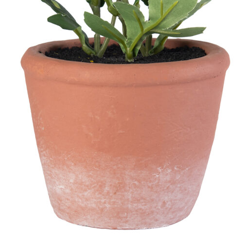 Potted Pyrethrum (H34cm) - Image 7