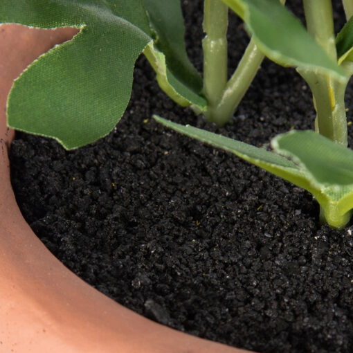Potted Pyrethrum (H34cm) - Image 6