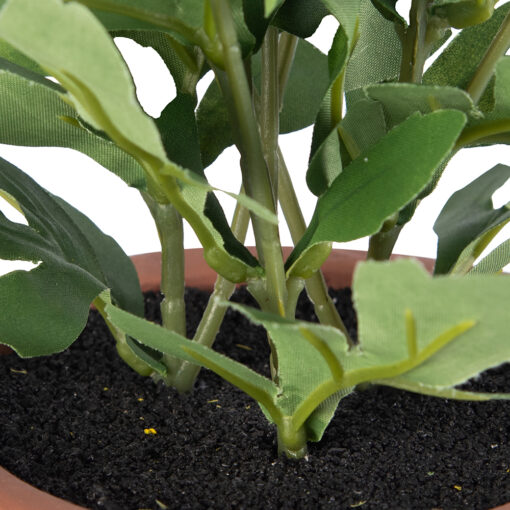 Potted Pyrethrum (H34cm) - Image 5