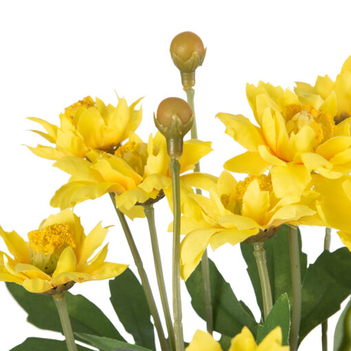 Potted Pyrethrum (H34cm) - Image 2