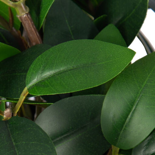 Potted Pothos Plant (H16cm) - Image 2
