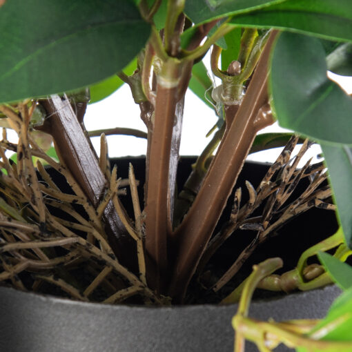 Potted Pothos Plant (H16cm) - Image 5