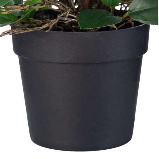 Potted Pothos Plant (H16cm) - Image 6