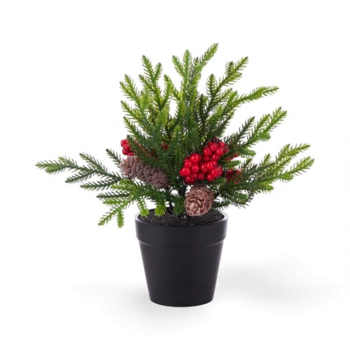 Potted Christmas Plant with Berries (H26cm)