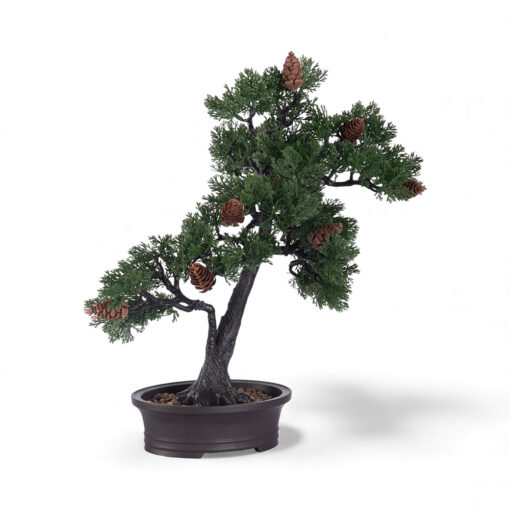 Potted Pine Bonsai (H40cm)