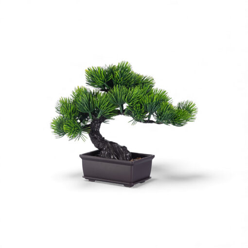 Potted Pine Bonsai (H23cm)
