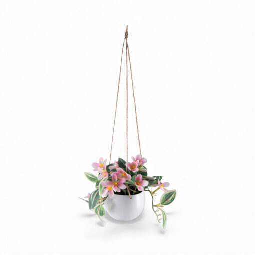 Potted Variegata (H40cm)