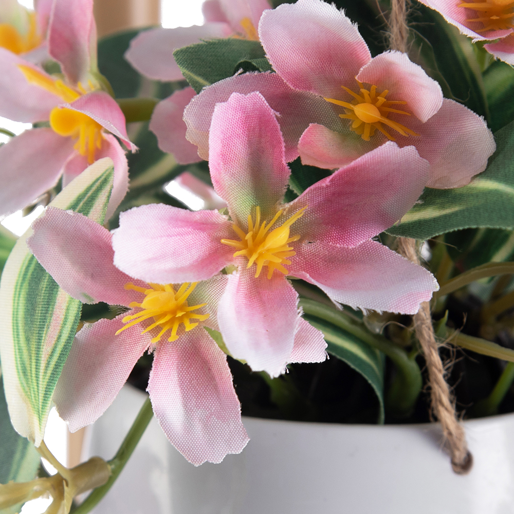 Potted Variegata (H40cm) - Image 2