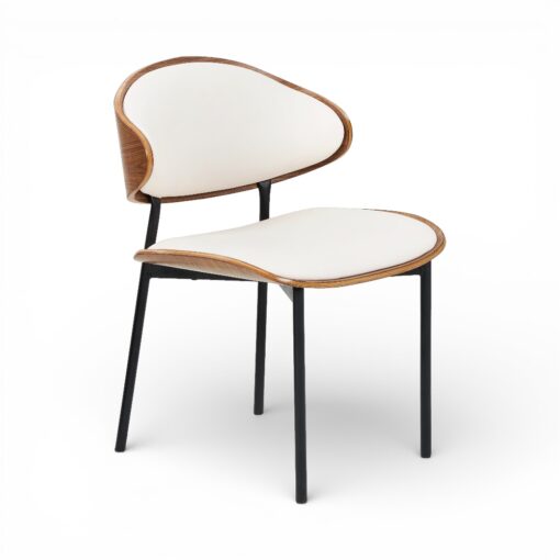 Coty Scratch Resistant Dining Chair