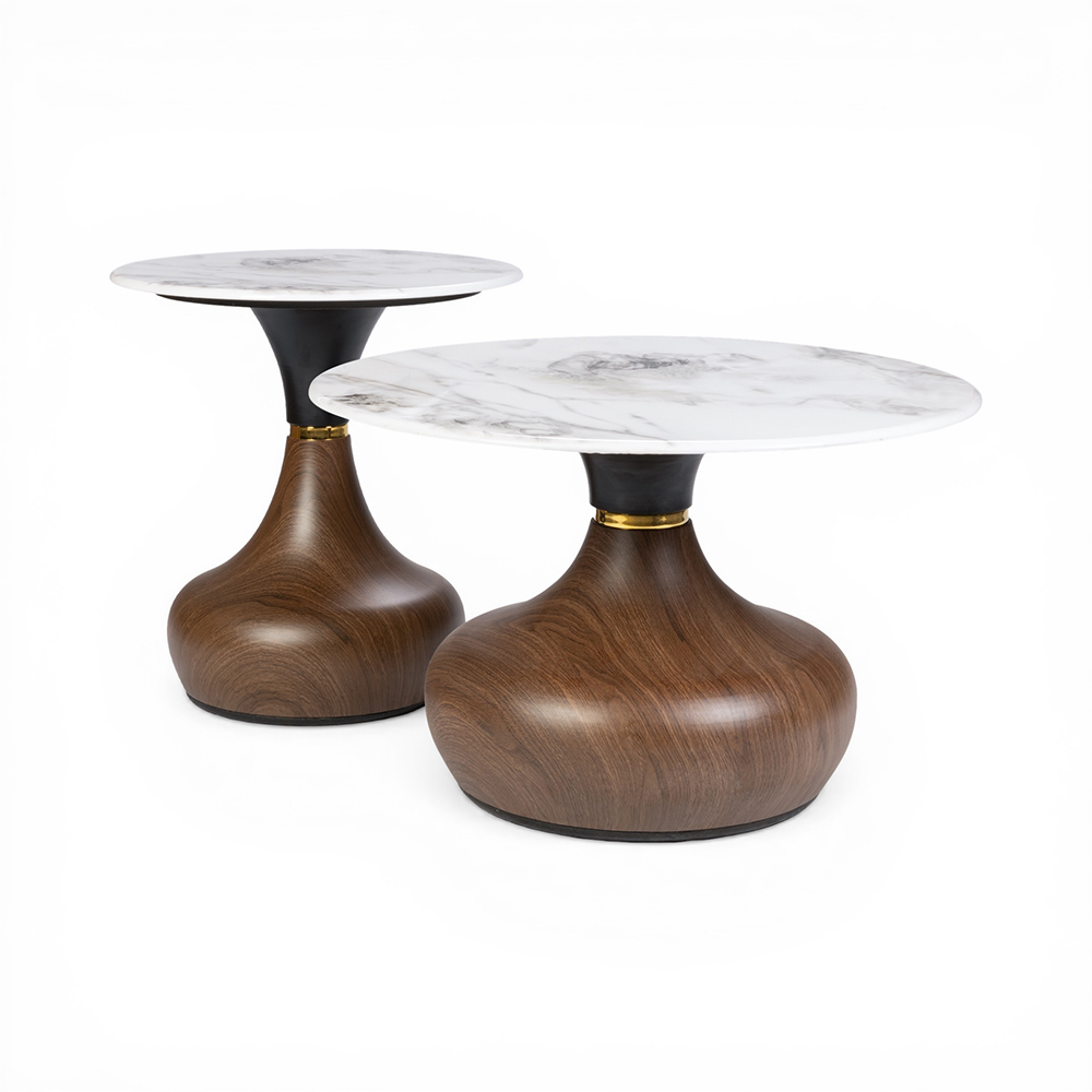 Onda Coffee Table (Set of 2)