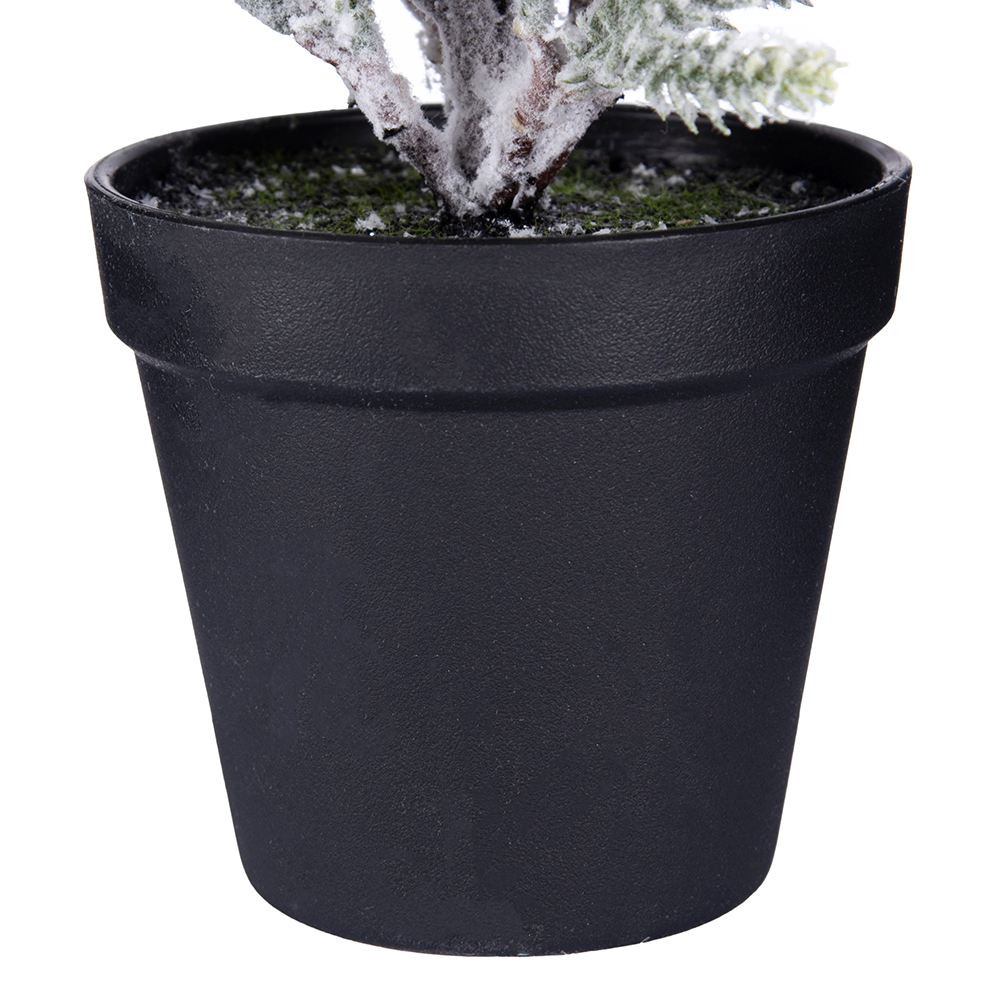 Potted Snowy Pine Tree (H43cm) - Image 5